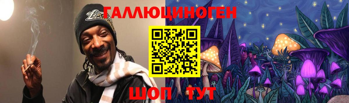 Псилоцибиновые грибы GOLDEN TEACHER  купить наркотики цена  Нерюнгри  Вход с VPN 
