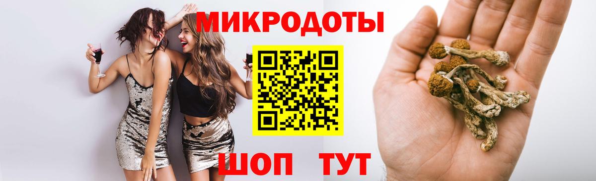 Галлюциногенные грибы MAGIC MUSHROOMS Нерюнгри
